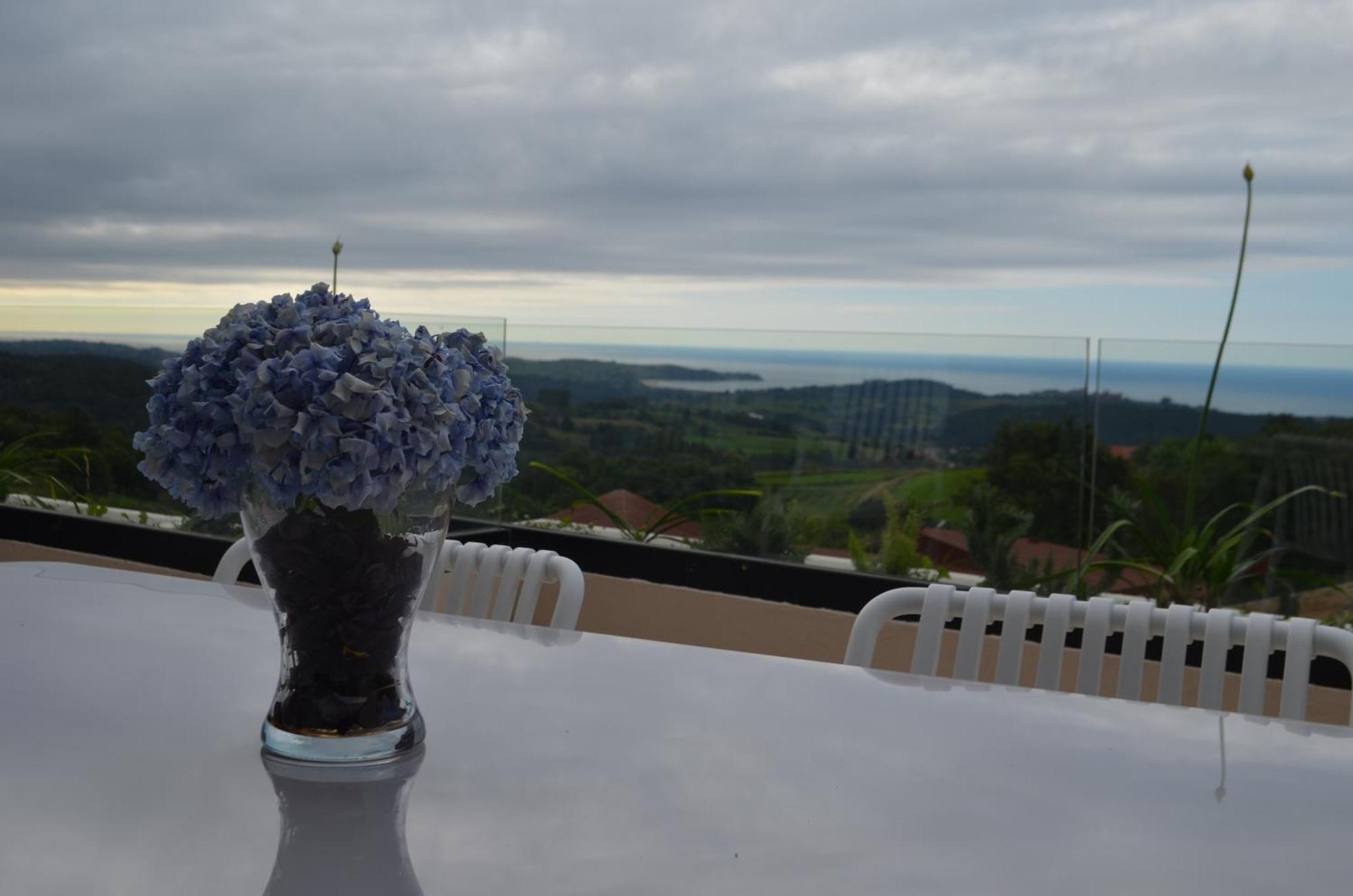 Mirador Playa De Oyambre-vista Al Mar Y Jardin Holiday home Canales (Cantabria)